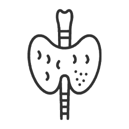 Hyper / Hypothyroidism